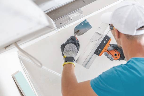 Forensic Mold Investigation in Rockdale, TX